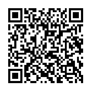 现在几位道友的实力恐怕在修真界也没有多少人能够胜过你们二维码生成