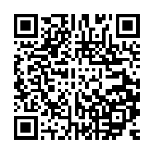 现在几大世家的人都已经陆陆续续的开始撤出了西门世家的地盘二维码生成