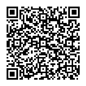 现在剩余留守宗门的长老们意思是让师姐你们这些元婴弟子组成另外的队伍前去营二维码生成