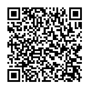 现在十大守护家族和那些上古世家依然在全大陆寻找羊羽天的踪迹二维码生成