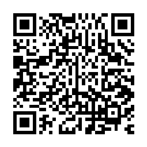 现在卓可可明显已经归附了季疏云……如果他们接受了卓可可二维码生成
