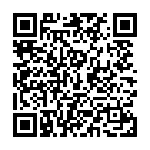 现在卖的门票钱已经远远超过我们录制这期节目的开销了二维码生成