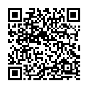 现在卡加斯学院中竟然出现了一位在修炼上丝毫不弱于自己二维码生成