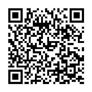 现在印证了一件事刚刚小王爷是故意躲起来引他们现身的二维码生成