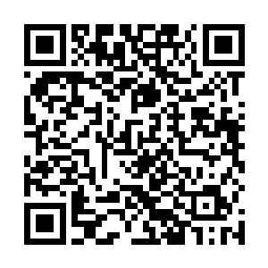 现在却是不伸手也不行指挥使还不定弄出了什么幺蛾子二维码生成