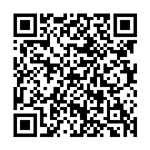 现在又是跟一帮原本只能仰望的大咖们一起去参加巡演二维码生成