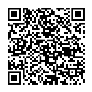 现在反而是一帮金雕在用树干撬棍之类的物件试图把残骸清理开来二维码生成