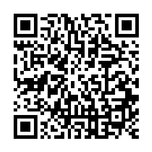 现在咱们在谈判桌前建立的同盟已经被张坚之的阴谋给破坏了二维码生成