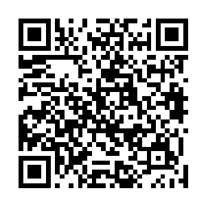 现在器灵在杨戬的心中的地位已经发生了天翻地覆的变化二维码生成