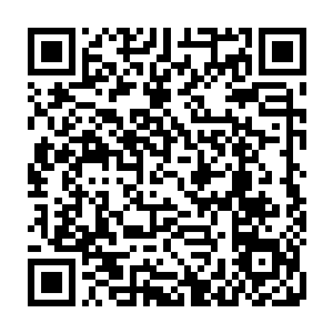 现在四翼状态的黑暗教皇的速度竟然跟全盛时期的堕落血天使的速度有的一拼二维码生成