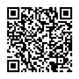 现在回想起当时秦林和威灵仙一搭一档的说什么善恶有报二维码生成