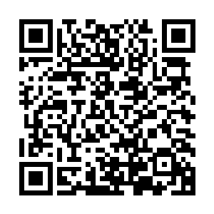 现在困扰他的只是能够支持地网系统最大负载运行的服务器组二维码生成