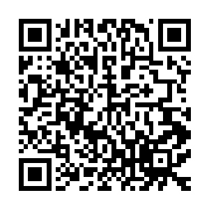 现在在甲板上的水手还看不出这一次的鱼获是什么种类有多少二维码生成