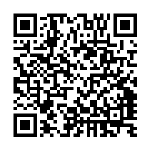现在在硬实力上可能也已经超越了上述十名玩家中的好几位二维码生成