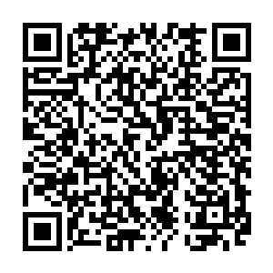 现在在见到了许德拉的龙炎的破坏力之后他们才明白过来龙族的龙炎的可怕之处二维码生成