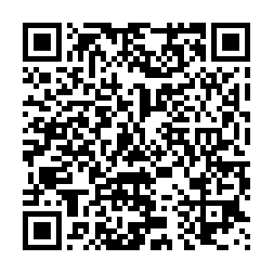现在在龙傲天的神识观察之下发现敖润现在已经是大罗金仙顶峰的修为二维码生成
