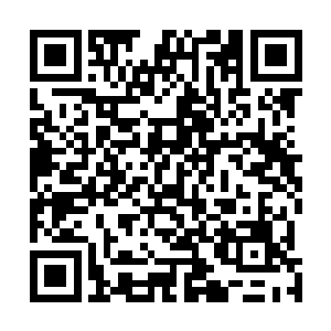 现在太多的家族因为我们这个名号对我们是非常的不满的二维码生成