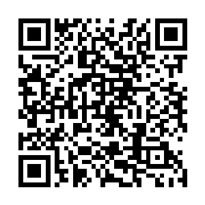 现在她疯狂的修炼锻炼也勉强是个跑几步不会娇喘连连而已二维码生成