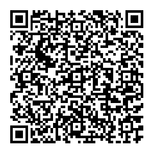 现在好莱坞的女演员们无疑多出了一条向上的通道――从蓝色到绿色的五份文件夹都是在今后两年打算开机的女性传记片二维码生成