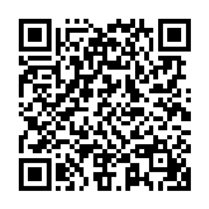 现在宇无极对龙傲天的信心可谓是提升到了一个前所未有的程度二维码生成