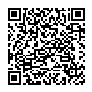 现在对面的两人终于明白为什么红虎从一开始就全力攻击他们两个了二维码生成