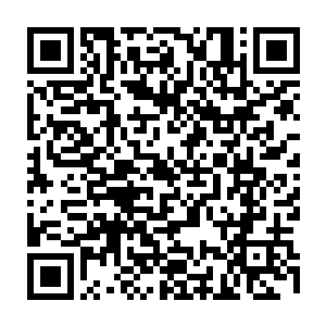 现在就算是打死龙傲天也绝对不相信这个蛮荒巨兽是一个域主顶峰那么简单了二维码生成