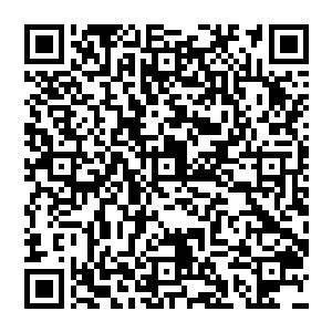 现在就连上汽一汽二汽这样的国有大型企业都不得不依靠和国外汽车巨头合资才能勉强稳住阵脚二维码生成