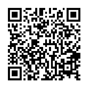 现在已经变成了血魂门的门主思想上自然也是成熟了不少二维码生成