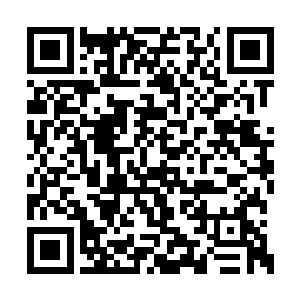 现在已经是临江城管的一名正式在编的公务人员二维码生成