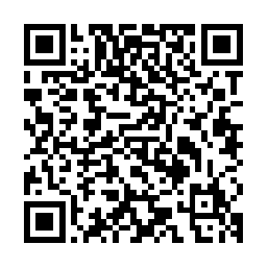 现在我们夏家军已经穿上了其他龙族筋骨鳞片炼制的武器装备了二维码生成