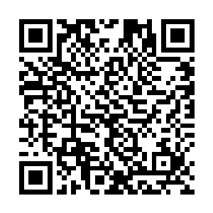 现在我们就要让这两个挑衅我们守护一族的人付出代价二维码生成