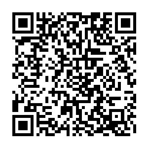 现在我们已经对于人类大脑的构造以及每个部位的功用有了一些微不足道的认识二维码生成