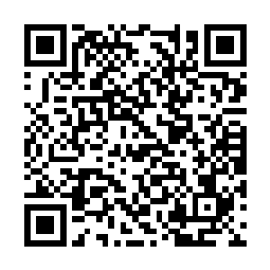 现在我们杀了他们的长老……根据以前我听闻见识二维码生成