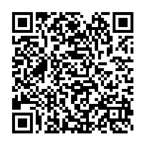 现在我们龙家的势力在欧阳家一系倒闭之后已经远远超过了其他的家族二维码生成