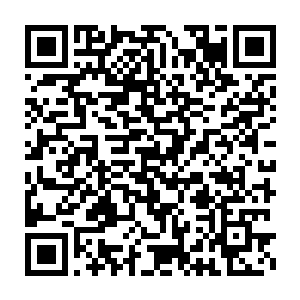 现在我就坐在这间可怜兮兮的卧室里给你打电话――我恨演员这个工作二维码生成