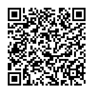 现在我想聘请他担任我们在东南亚的华国武装承包商公司战术教官二维码生成