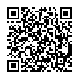 现在我明白为什么箭号和星号上的水手们为什么全都开跑车了二维码生成