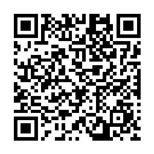 现在所有人都住在五星级酒店里……看上去你们玩得很融洽哦二维码生成