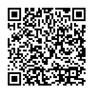 现在按照宗法规矩也只有老老实实的在内书房以最私密来客的地位在苦苦等候二维码生成
