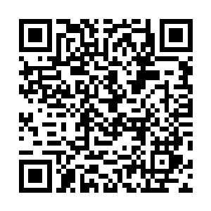 现在整个仙界中已经有很多仙人对异界都有了全新的认识二维码生成