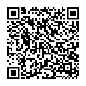 现在整个大罗天地的人都在追踪你的下落……尽管你掩饰得很好……但是……二维码生成