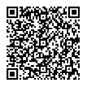 现在整个太玄宗都没有人炼那个拳法了那个功法似乎与我们太玄宗的修炼方向格格不入二维码生成