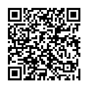 现在整个棕黑色的皮肤就像是一个巨大的翻在水上的船底二维码生成