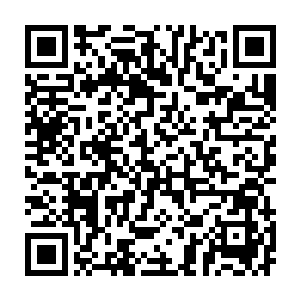 现在最重要的当然是和亲友们分享这份偷生的喜悦――如果她死了二维码生成