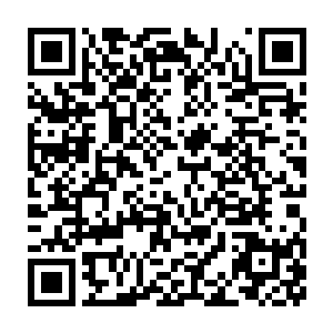现在有人在这里根本不会认为眼前的这个就是平时他们所见的那名教皇二维码生成