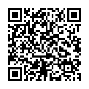 现在有位仙家居然在我的保护下陨落了……你给弟子点指示吧二维码生成