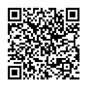 现在瑾儿小姐已经得到了锦鲤一族的传承至宝就九彩玄珠的认可二维码生成