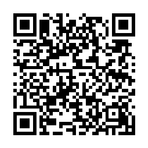 现在的东方玄正在用神识从上到下扫描着这株古树二维码生成