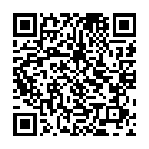 现在的九界大陆根本就和手无缚鸡之力的婴儿没什么两样二维码生成