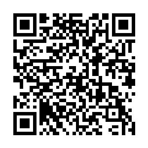 现在的他们和刚刚进入海澜修真界的时候不知道强了多少倍二维码生成